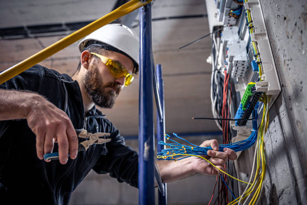 Best Electric Panel Repair  in Nitro, WV